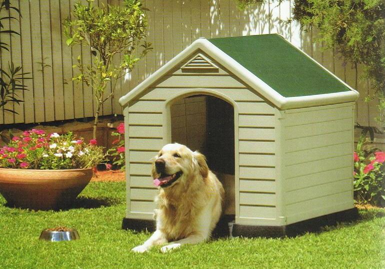 Outdoor Dog Kennels