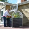 Palram-Plant-Inn-mini-greenhouse