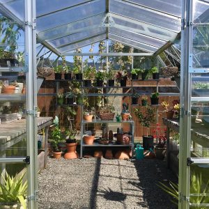 American greenhouse 1