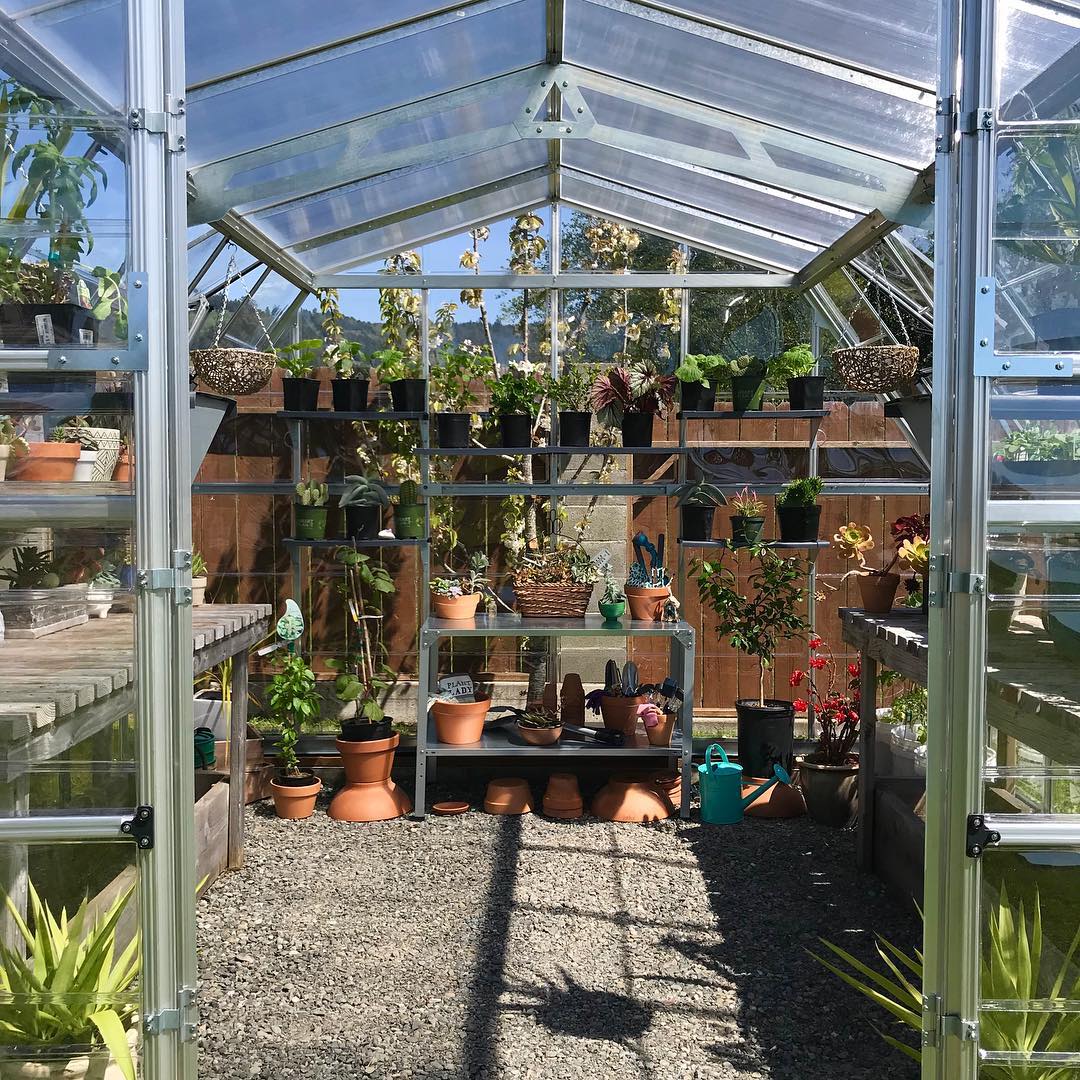 MAZE SILVERLINE 12'x12' AMERICANA GREENHOUSE 3.6mx3.6m