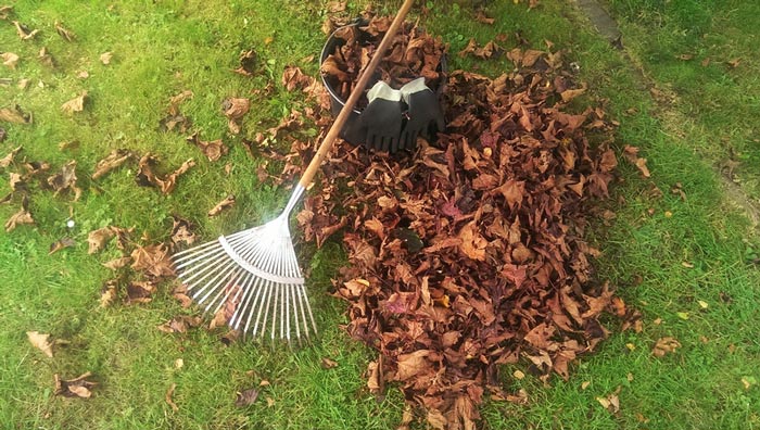 Do leaves make good compost?