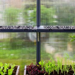 Palram-Canopia_Greenhouses_Accessories_Leaves_Shelf_Kit_Main_4