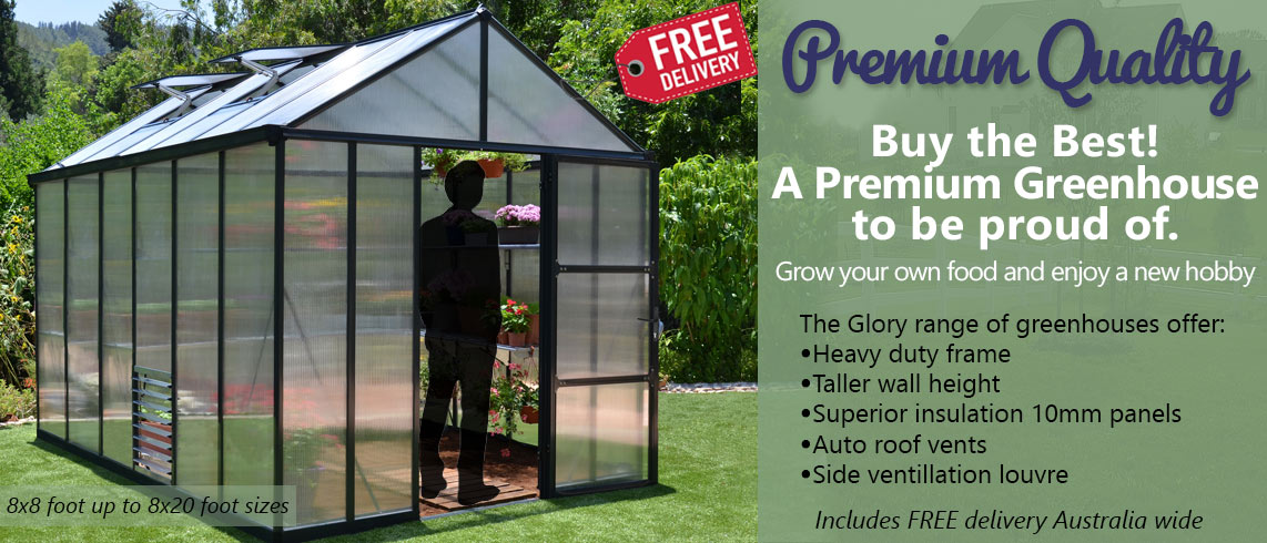Glory-promo