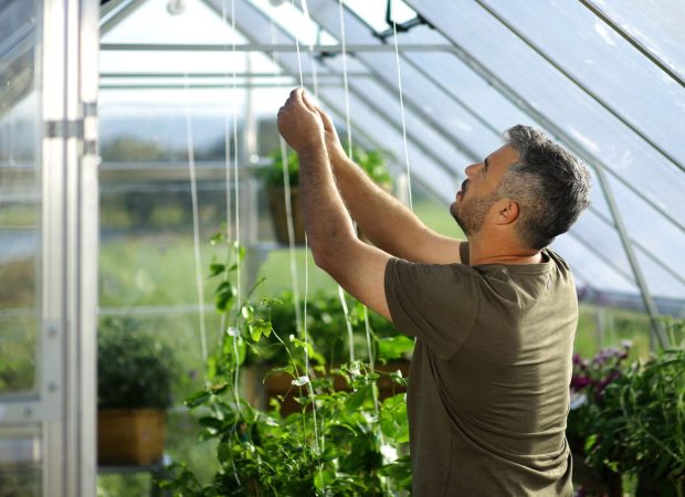 Palram-Canopia_Greenhouses_Accessories_Trellising Kit_Atmosphere-1 Palram-Canopia_Greenhouses_Accessories_Trellising Kit_Atmosphere-1