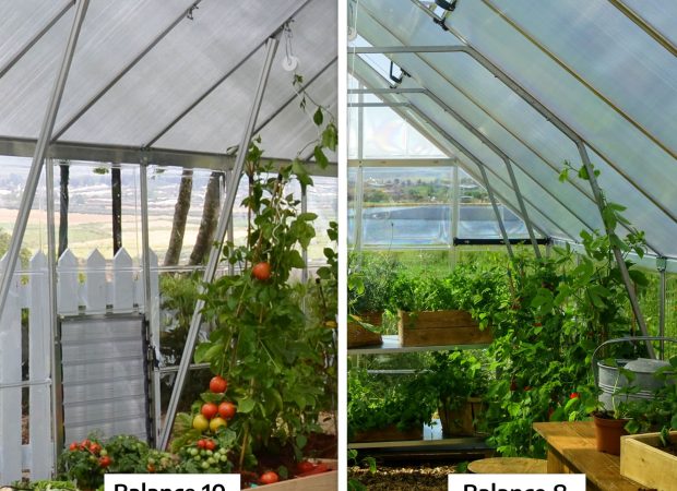 Palram-Canopia_Greenhouses_Balance_10-8_Silver_Features_Glazing_Reinforcment Palram-Canopia_Greenhouses_Balance_10-8_Silver_Features_Glazing_Reinforcment