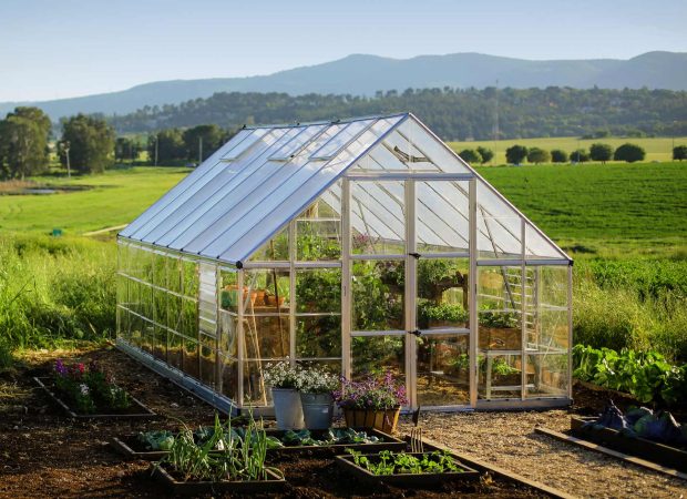 Palram-Canopia_Greenhouses_Balance_10x16_3x5_Silver_Main-7