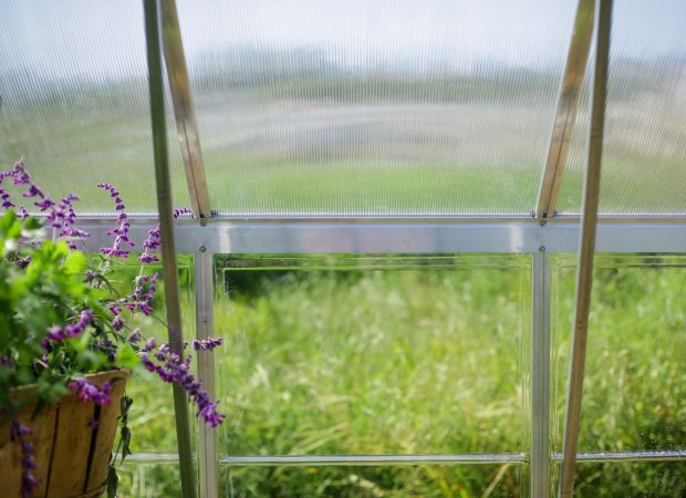 Palram-Canopia_Greenhouses_Balance_10x16_Silver_Features_Glazing_Polycarbonate_Multuwall Palram-Canopia_Greenhouses_Balance_10x16_Silver_Features_Glazing_Polycarbonate_Multuwall