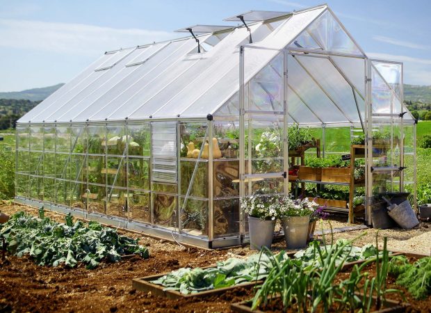 Palram-Canopia_Greenhouses_Balance_10x20_Silver