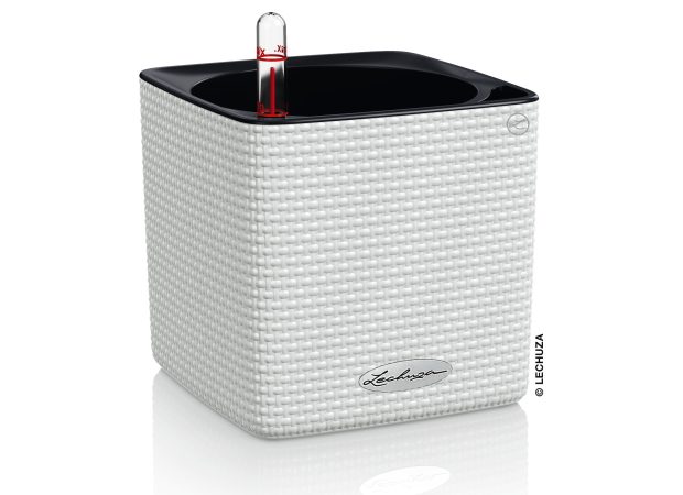 CUBE-Color-14-Variations-1White.jpg