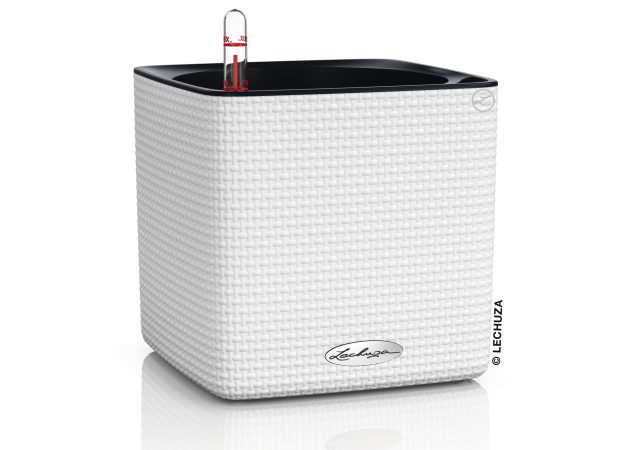 CUBE-Color-16-Variations-1White-scaled-1.jpg