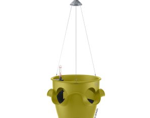 Hanging CASCADINO COLOR - pistachio