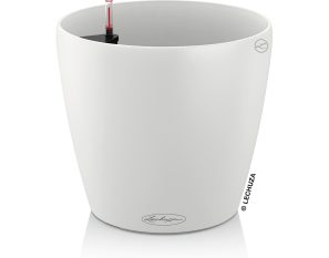 CLASSICO Color 28 - White