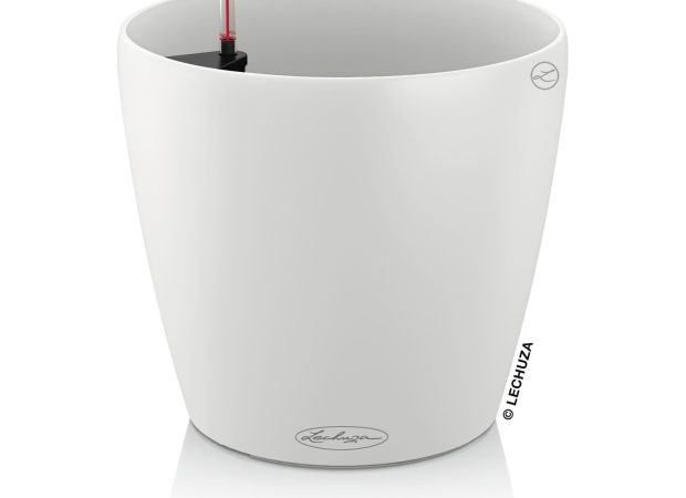 Classico-Color-1White.jpg