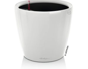 CLASSICO LS 43 Premium - High Gloss White