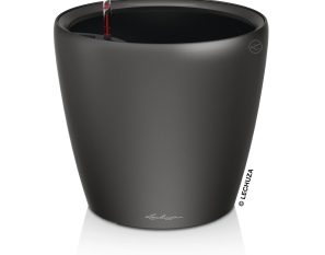 CLASSICO LS 43 Premium - Metallic Charcoal