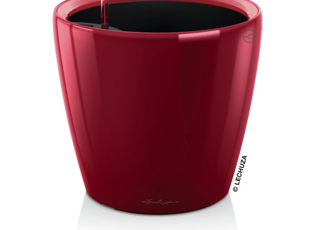 Classico-LS-Color-3Red.jpg