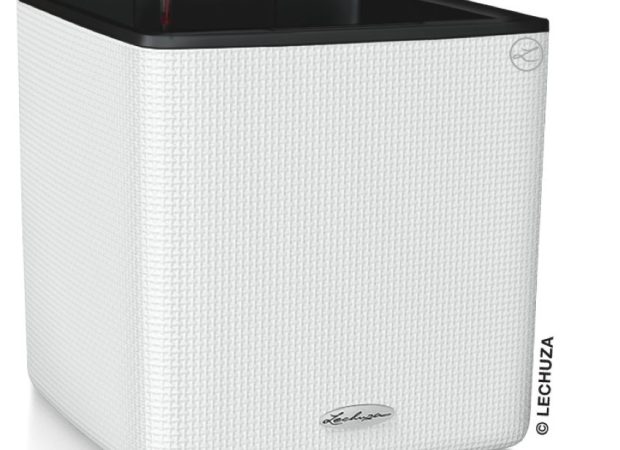 Cube-LS-Colour-35-6-1-1.jpeg