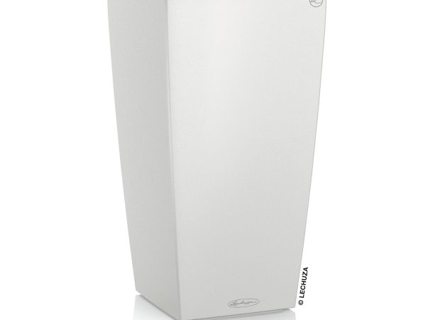 Cubico-Color-1White.jpg