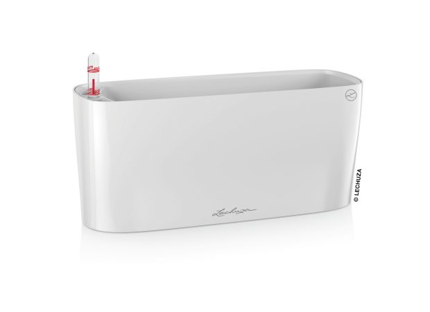 Delta-10-1White-scaled-1.jpg