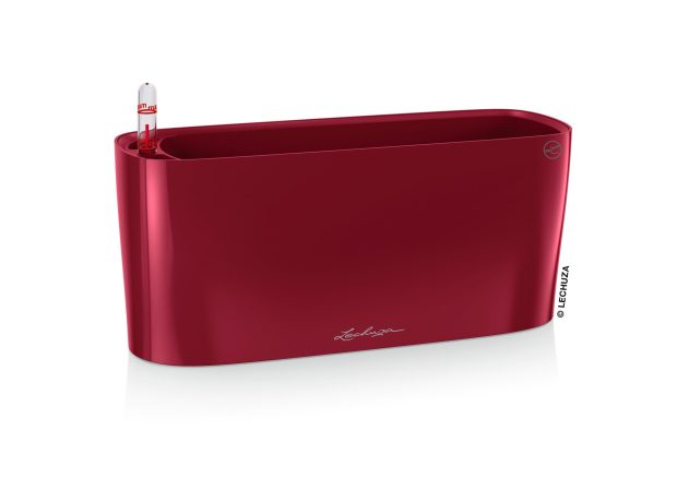 Delta-10-3Red-scaled-1.jpg