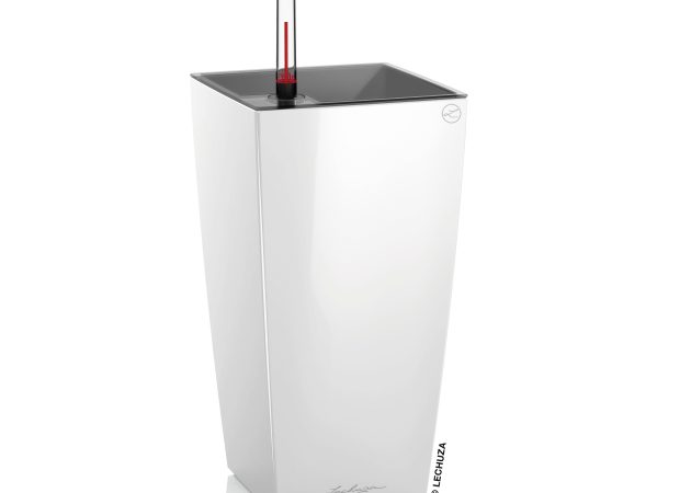 MAXI-CUBI-Variations-1-White.jpg