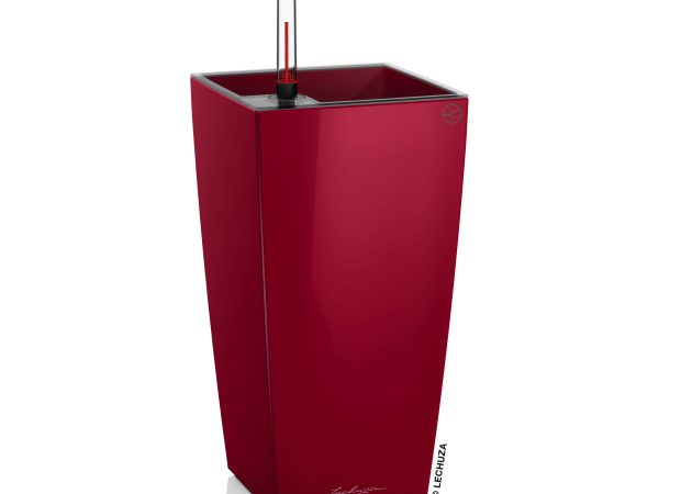 MAXI-CUBI-Variations-3-Red.jpg