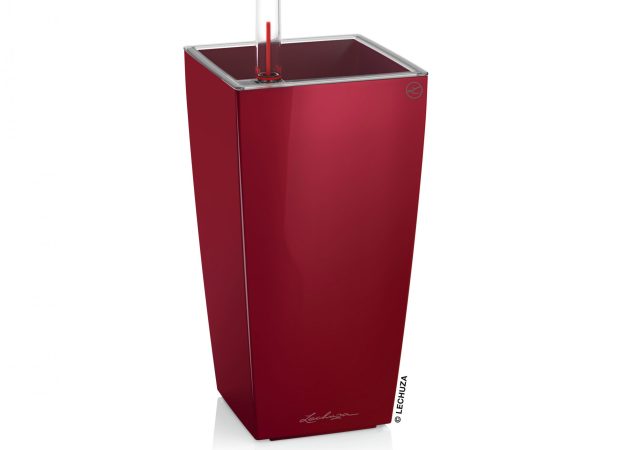 MINI-CUBI-Variations-3-Red-scaled-1.jpg