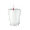 MINI DELTINI – High Gloss White