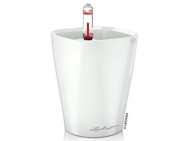 MINI-DELTINI-Color-Variations-1White.jpg