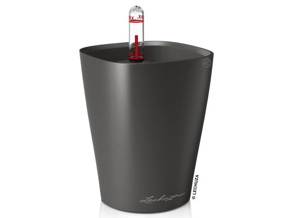 MINI-DELTINI-Color-Variations-2Charcoal.jpg