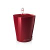 MINI DELTINI – Scarlet Red
