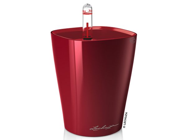 MINI-DELTINI-Color-Variations-3Red.jpg