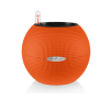 PURO Color 20 – orange