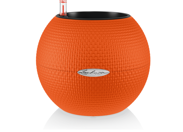 PURO-Color-20-Color-Variations-3Orange.png