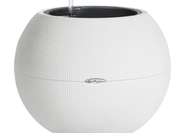 Puro-50-White.jpg