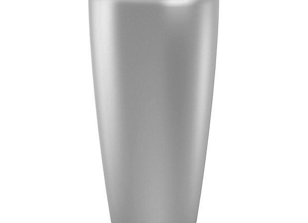 Silver-3.jpg