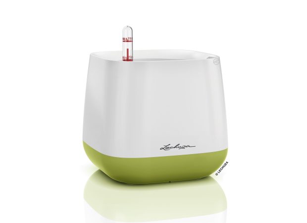 YULA-Color-Variations-White_Green-scaled-1.jpg