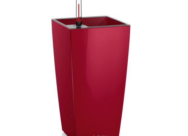 red-1.jpg
