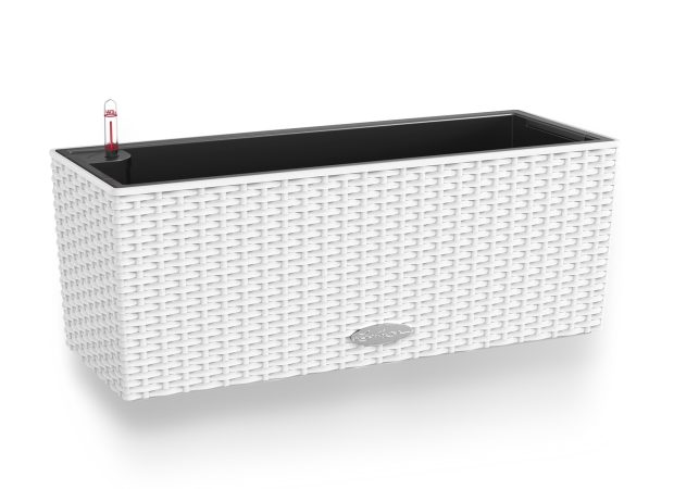 white-1-1.jpg