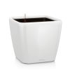 QUADRO LS 50 Self Watering Pot – High Gloss White