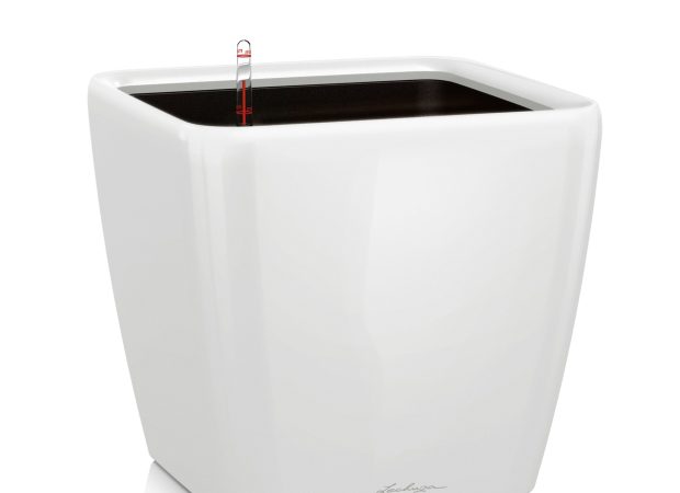 white-2.jpg