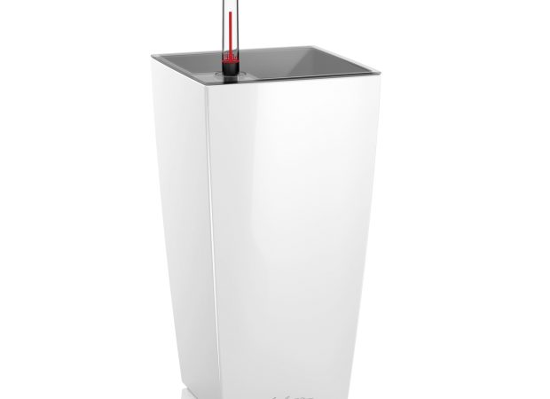 white-4.jpg