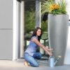 300L-2in1-Classic-Tank-Zinc-Image-3.jpg