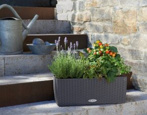BALCONERA COTTAGE 50 Self Watering Planter