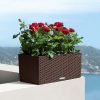 A_BLC_CTG50_mok_Rosa_1_v3-1.jpg