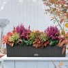 A_BLC_CTG80_gra_BLOOMS_Herbst_2017_v2-1.jpg