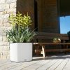 A_SQP35_LS_w_Tillandsia_oerstediana-1.jpg