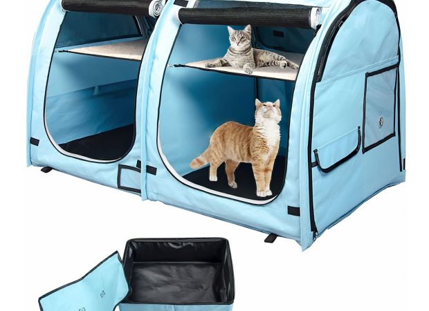 Blue1_Pop_Up_House_For_Small_Pets_Main_Image.png