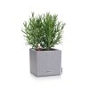 CANTO-Stone-14-Main-Image-1.png
