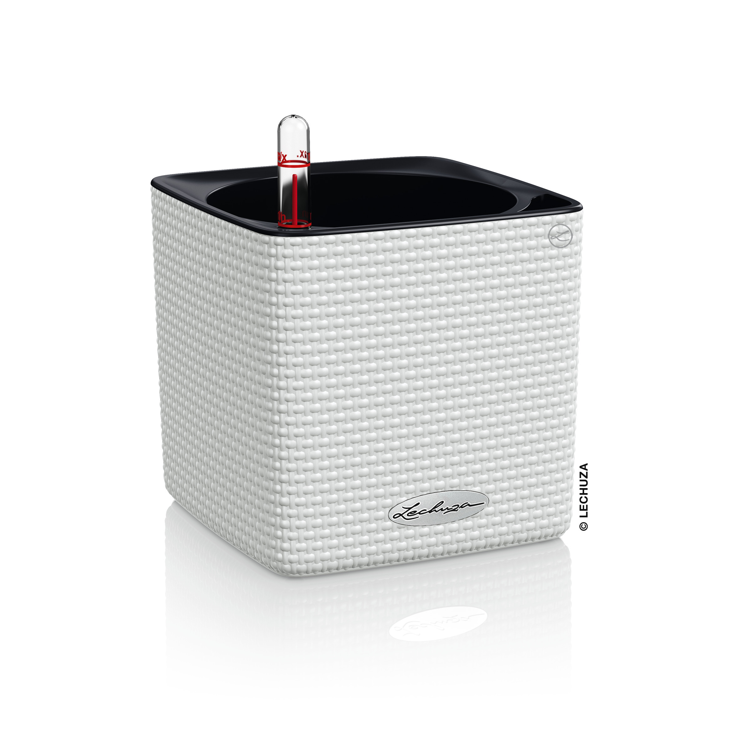 CUBE-Color-14-Variations-1White.jpg